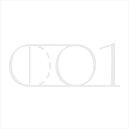 001 Ventures logo