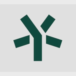5Y Capital logo