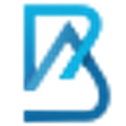 BAce Capital logo