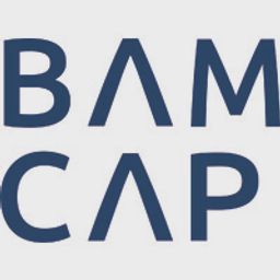 BAMCAP VC logo