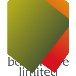 BD Venture logo