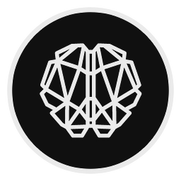 Bigbrain logo
