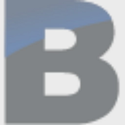 Bootstrap Venture Partners logo