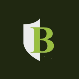 Boutiquevc logo