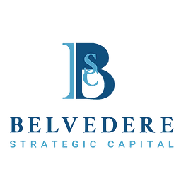 Bsc logo