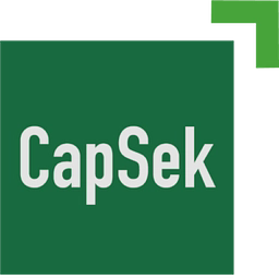 Capsek logo