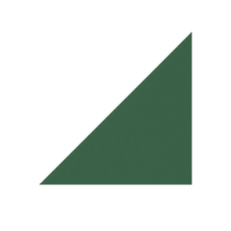 Chaphealth logo