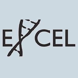 Excelvm logo