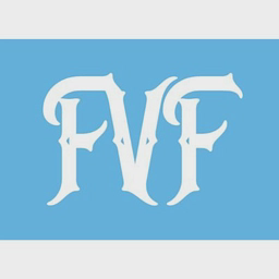 Fintechv logo