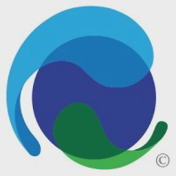 Hemisphere logo