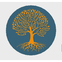 Kzfv logo