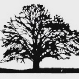 Linden3 logo