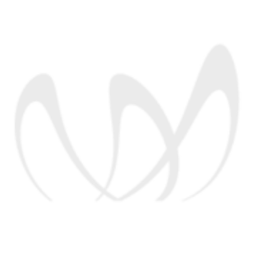 Mistral Venture Partners logo