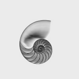 Nautilusvp logo