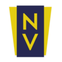 Nelstone Ventures logo
