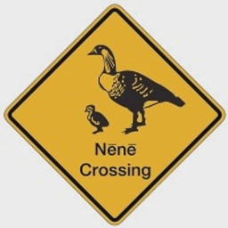 Nenecrossing logo