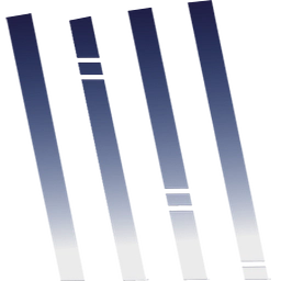Nightrain Ventures logo