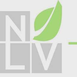 Nlv Partners logo