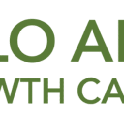 Paloalto logo
