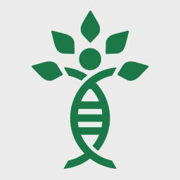 Panaceaventure logo