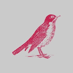 Robincap logo