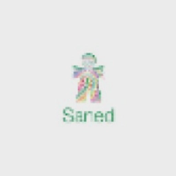 Saned Partners logo